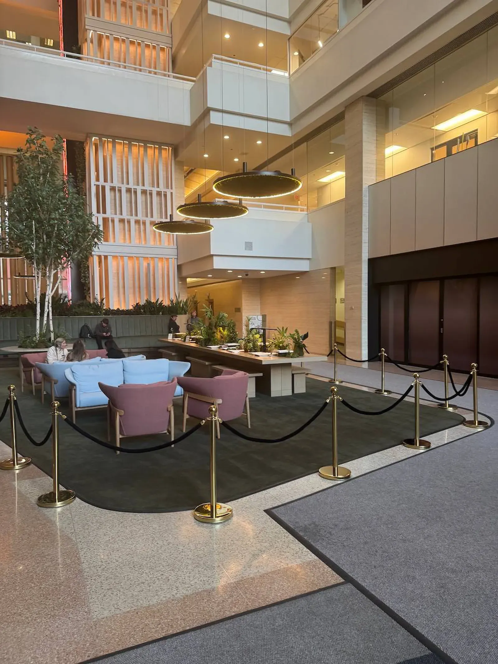 Poteaux à corde dorés avec cordes de velours noires dans un hall atrium